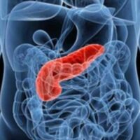Cancro al pancreas. Nuove speranze di cure dall'Università della Calabria
