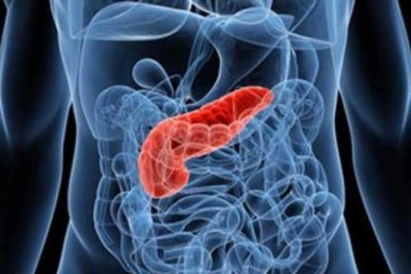 Cancro al pancreas. Nuove speranze di cure dall’Università della Calabria