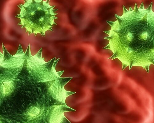 Nel 2050 i super-virus saranno la prima causa di morte