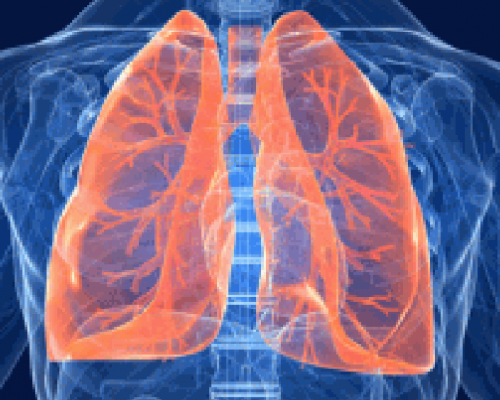 Tumore del polmone, identikit genetico per terapie mirate