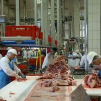 Filiera produttiva carne, irregolarità nel 30% dei controlli