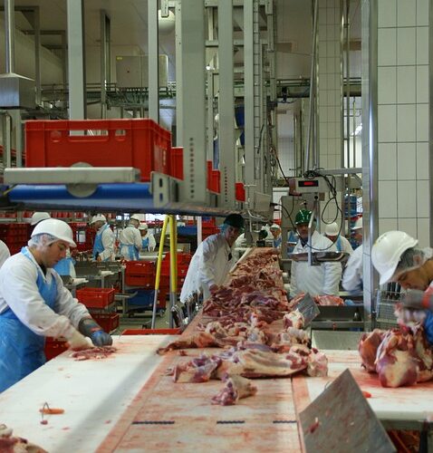 Filiera produttiva carne, irregolarità nel 30% dei controlli