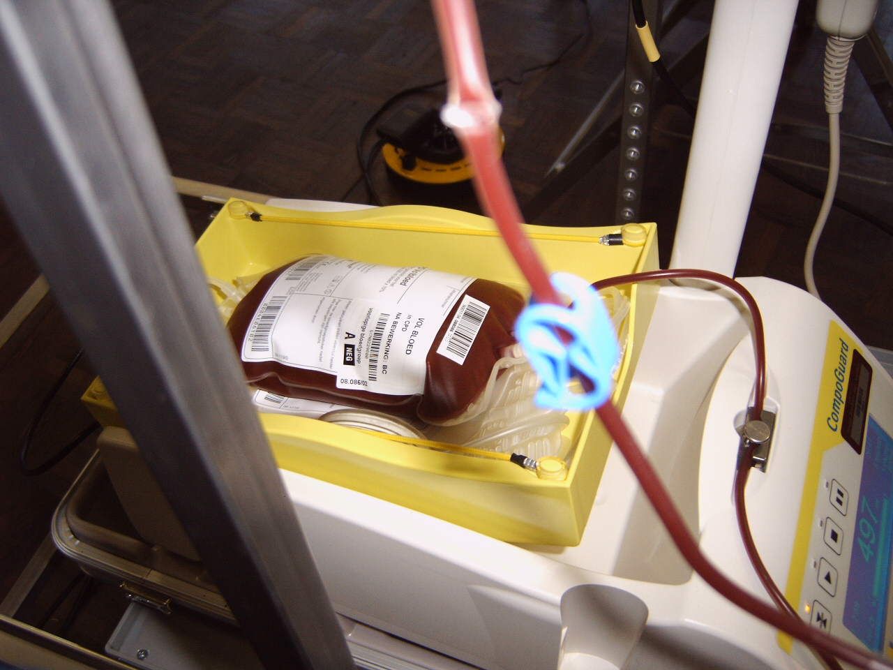 L’appello della Croce Rossa: “Donazione sangue sia abitudine periodica”