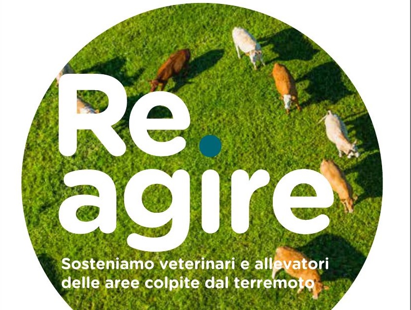 Terremoto e salute animale, Associazione Veterinari (ANMVI) lancia ‘Re.agire’