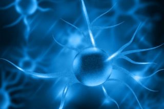 blue-nerve-cells_23-2147537870-600x400