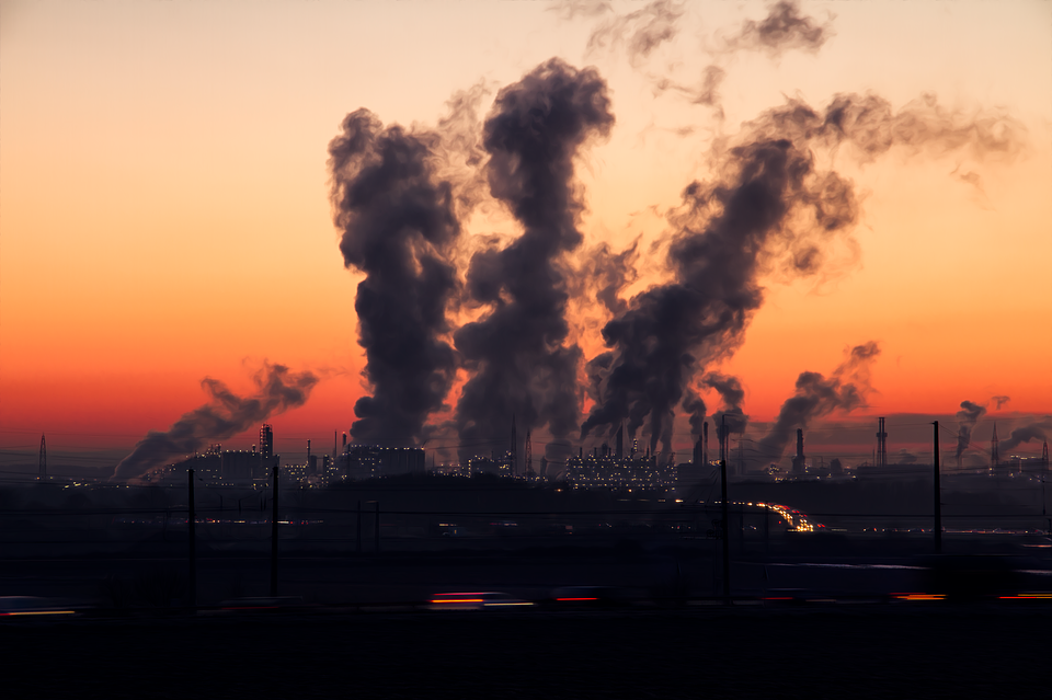 Bologna, lo smog anticipa ogni anno decine di decessi