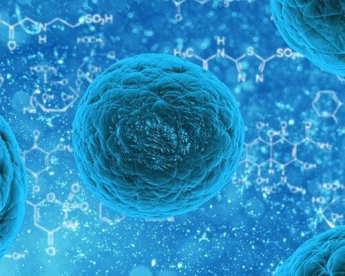 Le cellule staminali? Riprogrammate con la musica