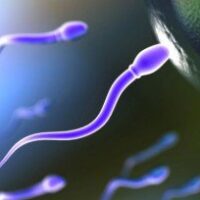 Fertilità e sterilità, 7 ragazzi su 10 non fanno controlli