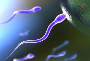 Fertilità e sterilità, 7 ragazzi su 10 non fanno controlli