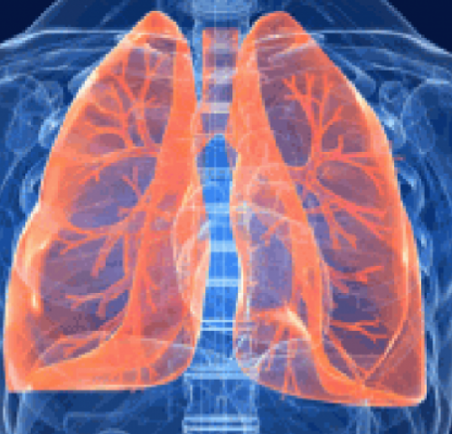 Tumore polmone, solo l’11% delle strutture italiane raggiunge standard cure