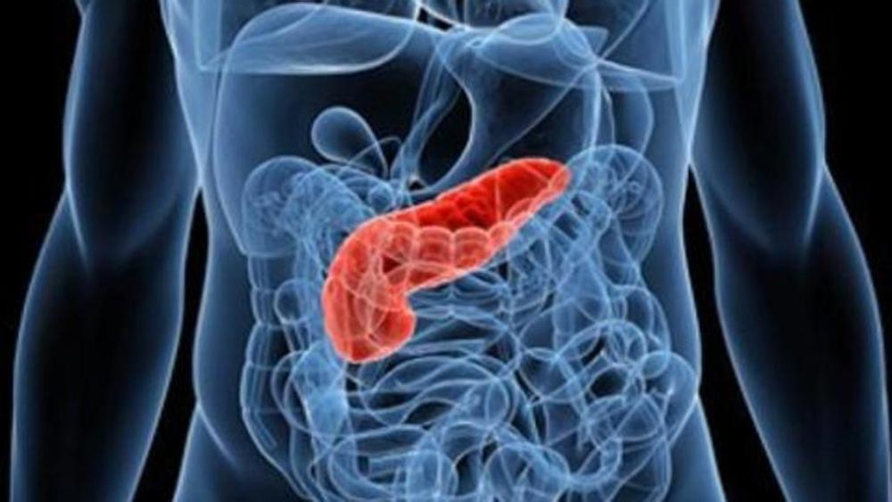 Tumore al pancreas, patologia in crescita: i sintomi da tenere d’occhio