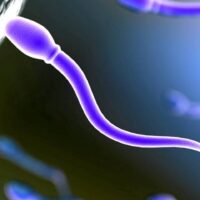 Pochi spermatozoi? Parla l’andrologo: “Genitori sorveglino i figli”