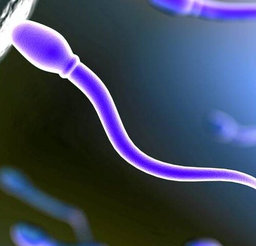 Pochi spermatozoi? Parla l’andrologo: “Genitori sorveglino i figli”