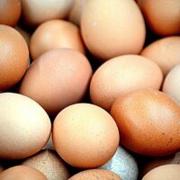 In Italia sette casi sospetti di contaminazione, sotto sequestro 90mila chili di uova