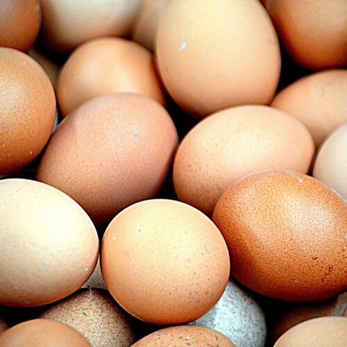 In Italia sette casi sospetti di contaminazione, sotto sequestro 90mila chili di uova