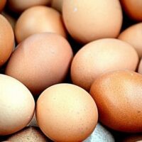 Uova al fipronil, il Ministero della Salute: “Non vendute in Italia”