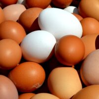 Uova contaminate, 6 campioni positivi al Fipronil in Emilia Romagna