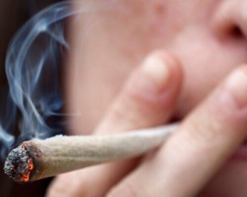 Droghe, relazione al Parlamento: cannabis la più usata, aumenta consumo tra i giovani