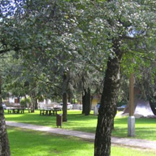 Il verde dei parchi aiuta a combattere l’asma