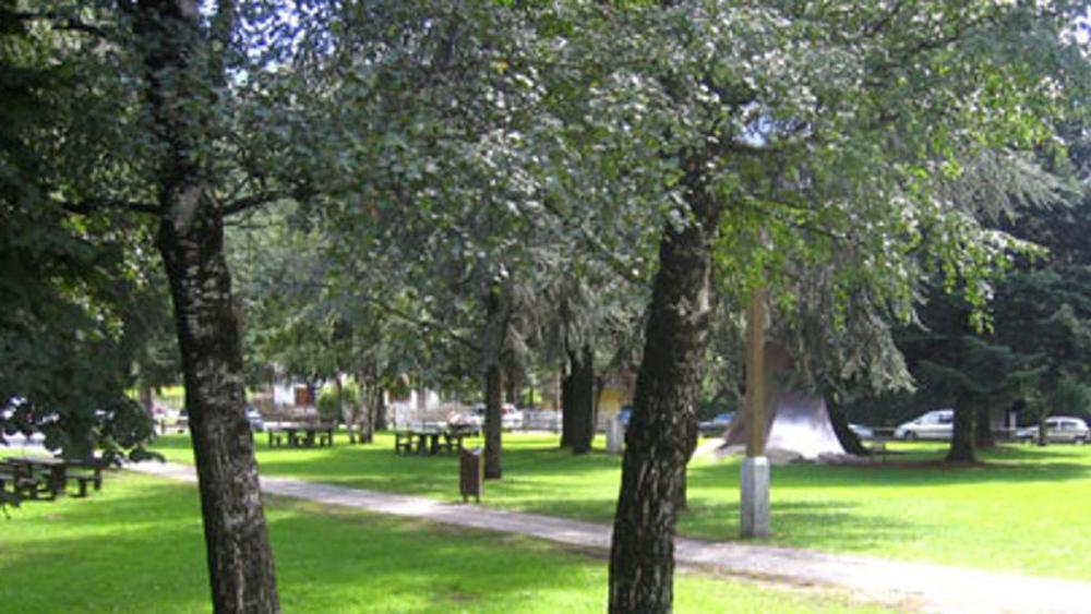 Il verde dei parchi aiuta a combattere l’asma