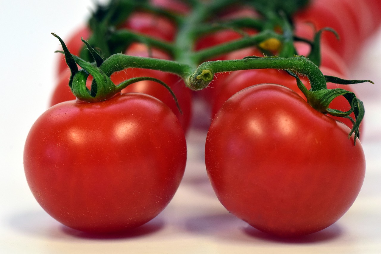 Lo studio: mangiare pomodori riduce i danni ai polmoni causati dal fumo