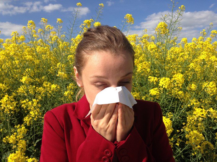 Allergia, le 5 regole per sopravvivere all’arrivo della primavera