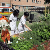 Negli ospedali di Bologna si semina coesione