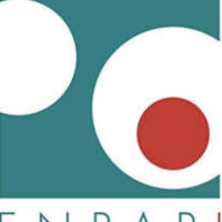 Elezioni rinnovo organi collegiali Enpapi – quadriennio 2019-2023