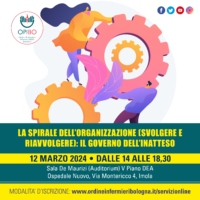 La spirale dell’organizzazione (svolgere e riavvolgere): il governo dell’inatteso